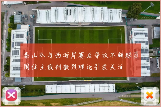 泰山队与西海岸赛后争议不断球员围住主裁判激烈理论引发关注